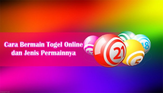 Cara Bermain dan Pasang Togel Online Lewat HP